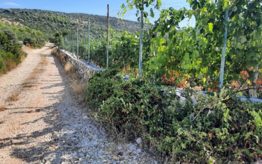 Excellent plot of land in a quiet area, Vrsine