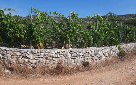 Excellent plot of land in a quiet area, Vrsine
