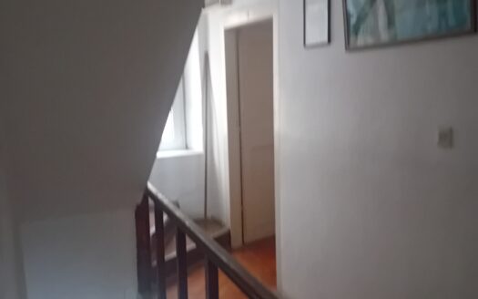 Autentyczny dalmatyński kamienny dom na sprzedaż, położony w samym sercu (sprzedaż)