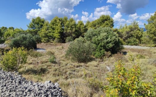 Čiovo – attractive agricultural land 4,230 m²