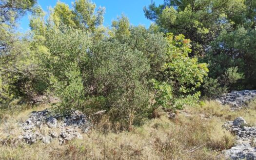 Prime agricultural land for sale in Vis – spanning an impressive 18,767 m², perfect for farming, investment, or development