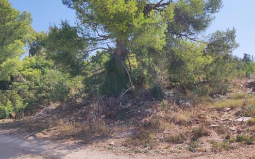Čiovo – attractive agricultural land 4,230 m²