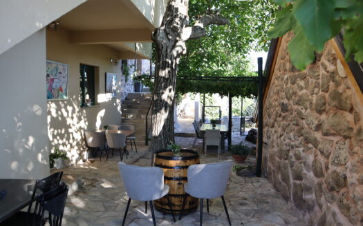 Vrgorac, a unique stone property with tourist potential